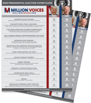 engage voters